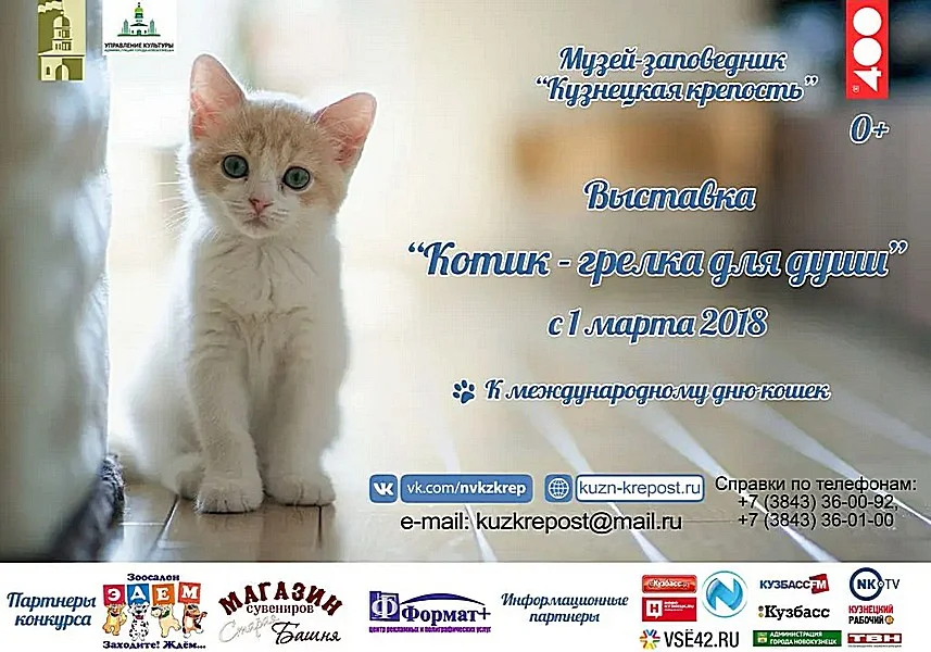 «Котик – грелка для души». Выставка к Международному дню кошек. 1 марта - 1 апреля 2018 года