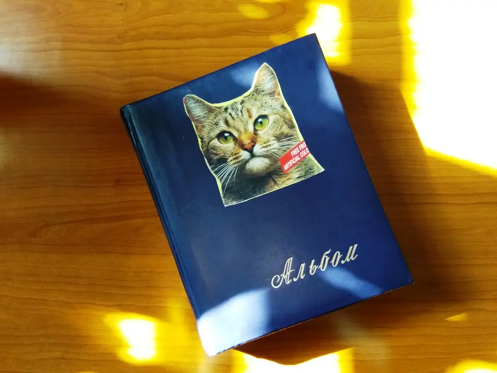 kotiki albom nisichenko1
