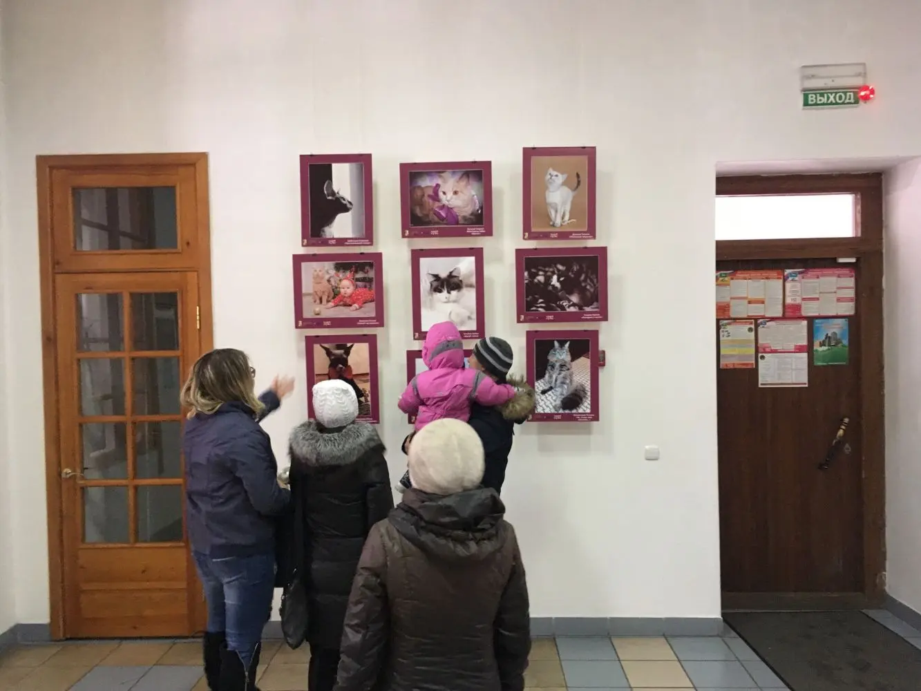 kotiki na vistavke1
