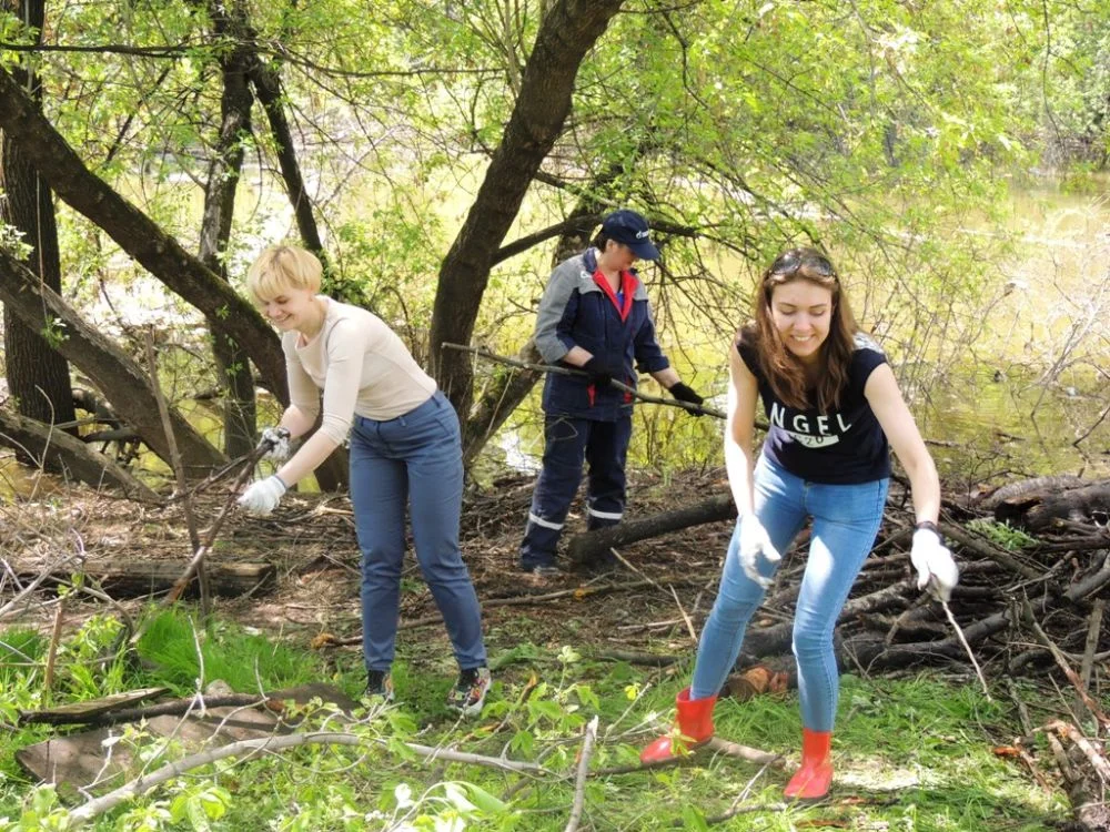 uborka ivancevka2018 02